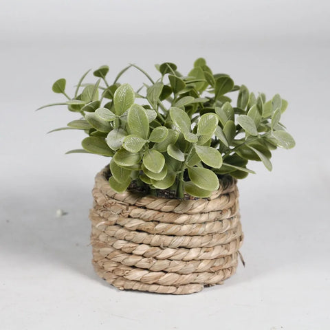 Green Artificial Potted Plant Eucalyptus Grass Woven Simulated Potted Plants Plastic Leaf 11cm Artificial Decorations Home Decor