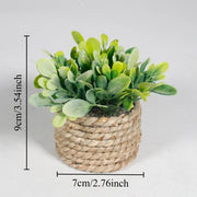 Potted Plant Small Fake Plants Indoor Home Decor Decorative Pot for Living Room Office Decoration Realistic Faux Greenery