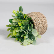 Green Artificial Potted Plant Eucalyptus Grass Woven Simulated Potted Plants Plastic Leaf 11cm Artificial Decorations Home Decor