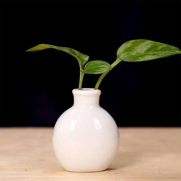 Mini Desktop Vase Cute Spherical Shape Ceramic Flower Pot For Hydrocotyle Vulgaris Lily Of The Valley Spring Gardening Accessory