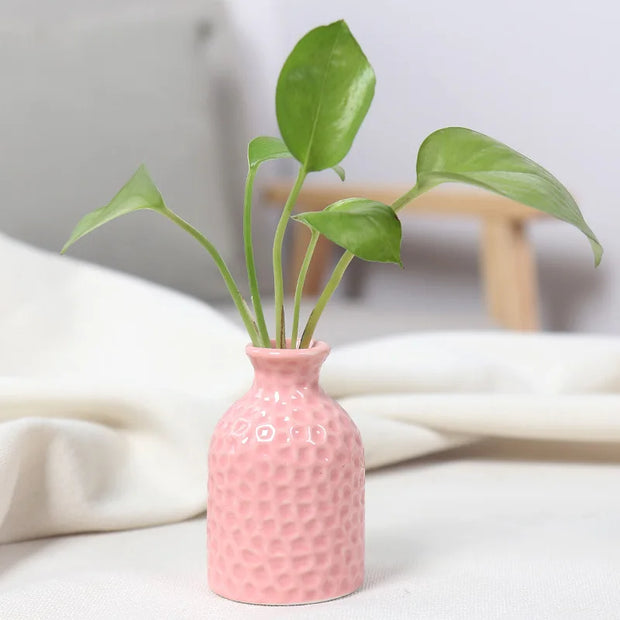 Unique Ceramic Mini Flower Vase Home Garden Decoration Planter Pot Cute Flowerpot Planter Desktop Vase Home Office Bonsai Pot