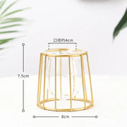 Nordic Simple Golden Glass Vase Hydroponic Plant Flower Vase Iron Geometric Glass Test Tube Metal Plant Holder Modern Home Decor