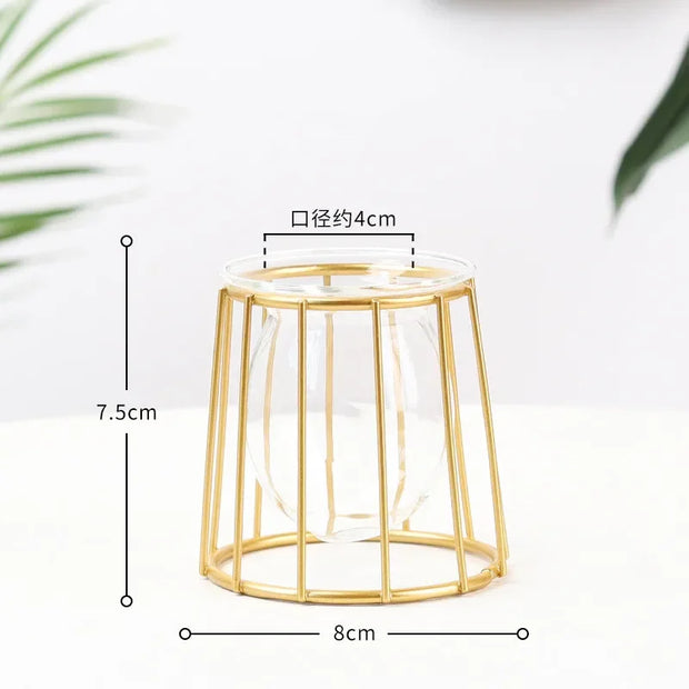 Nordic Simple Golden Glass Vase Hydroponic Plant Flower Vase Iron Geometric Glass Test Tube Metal Plant Holder Modern Home Decor