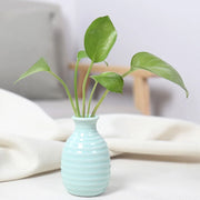 Unique Ceramic Mini Flower Vase Home Garden Decoration Planter Pot Cute Flowerpot Planter Desktop Vase Home Office Bonsai Pot