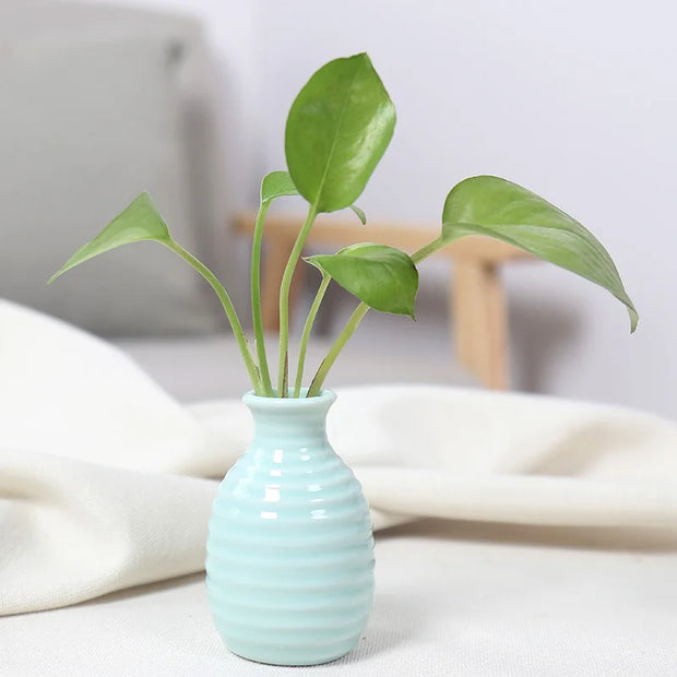 Unique Ceramic Mini Flower Vase Home Garden Decoration Planter Pot Cute Flowerpot Planter Desktop Vase Home Office Bonsai Pot