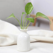 Unique Ceramic Mini Flower Vase Home Garden Decoration Planter Pot Cute Flowerpot Planter Desktop Vase Home Office Bonsai Pot