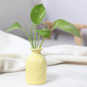 Unique Ceramic Mini Flower Vase Home Garden Decoration Planter Pot Cute Flowerpot Planter Desktop Vase Home Office Bonsai Pot