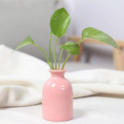 Unique Ceramic Mini Flower Vase Home Garden Decoration Planter Pot Cute Flowerpot Planter Desktop Vase Home Office Bonsai Pot