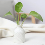 Unique Ceramic Mini Flower Vase Home Garden Decoration Planter Pot Cute Flowerpot Planter Desktop Vase Home Office Bonsai Pot