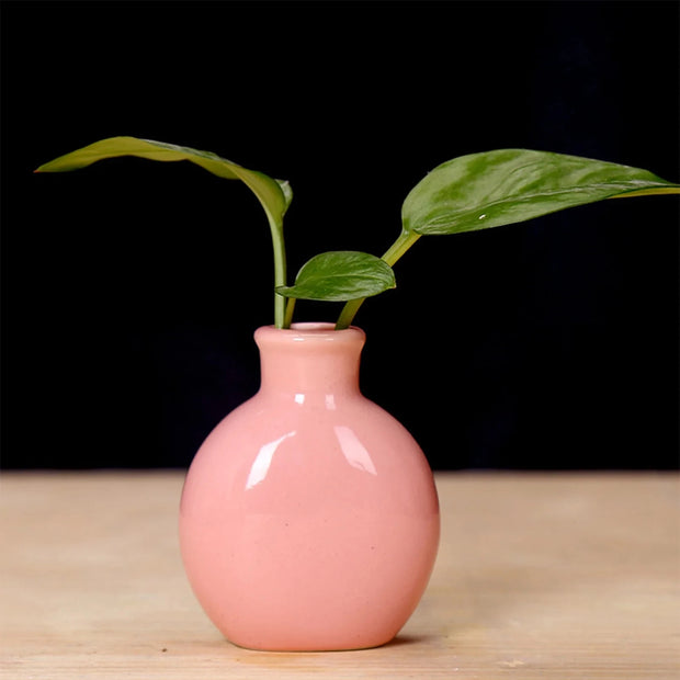 Unique Ceramic Mini Flower Vase Home Garden Decoration Planter Pot Cute Flowerpot Planter Desktop Vase Home Office Bonsai Pot