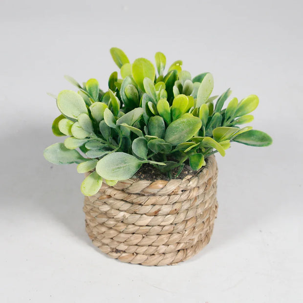 Green Artificial Potted Plant Eucalyptus Grass Woven Simulated Potted Plants Plastic Leaf 11cm Artificial Decorations Home Decor