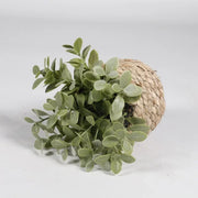 Potted Plant Small Fake Plants Indoor Home Decor Decorative Pot for Living Room Office Decoration Realistic Faux Greenery