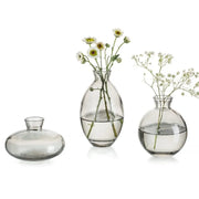 Simple Mini Glass Flower Vase Desktop Transparent Hydroponic Plant Bottle Living Room Flower Arrangement Pot Home Decoration