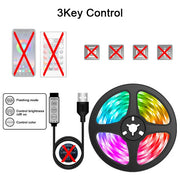 RGB LED Strip Lights 1-30M USB 5050 IR Remote Control Color Changing Flexible Lamp Tape For TV Backlight Home Party Decoration