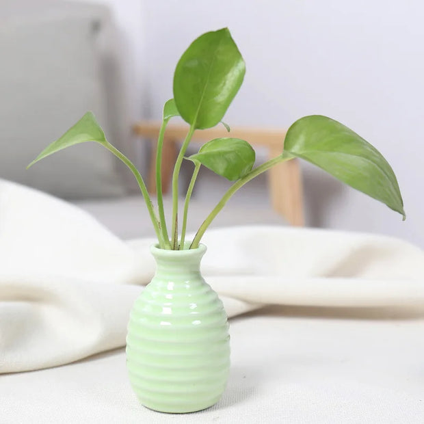 Unique Ceramic Mini Flower Vase Home Garden Decoration Planter Pot Cute Flowerpot Planter Desktop Vase Home Office Bonsai Pot