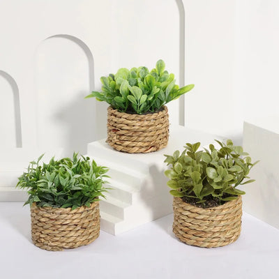 Green Artificial Potted Plant Eucalyptus Grass Woven Simulated Potted Plants Plastic Leaf 11cm Artificial Decorations Home Decor