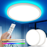 220V LED Ceiling Light Dimmable With Remote Control 24W 2700LM RGB 3000K-6500K Round Lamp Ceiling For Living Room Bedroom