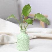 Unique Ceramic Mini Flower Vase Home Garden Decoration Planter Pot Cute Flowerpot Planter Desktop Vase Home Office Bonsai Pot