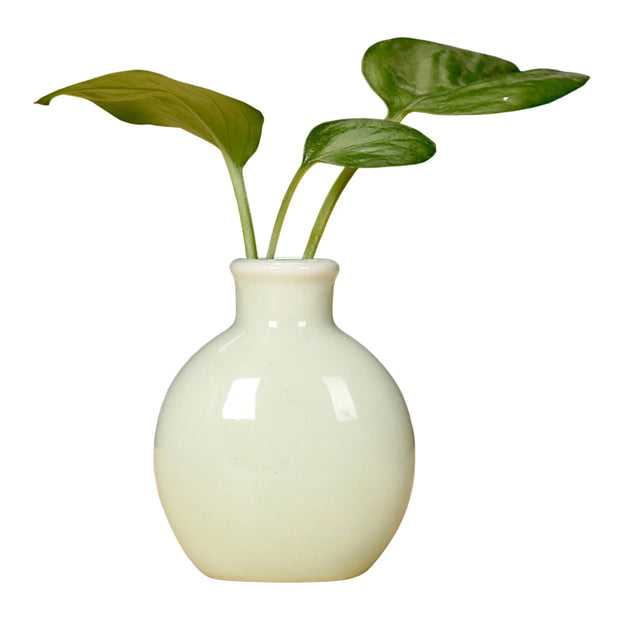 Mini Desktop Vase Cute Spherical Shape Ceramic Flower Pot For Hydrocotyle Vulgaris Lily Of The Valley Spring Gardening Accessory