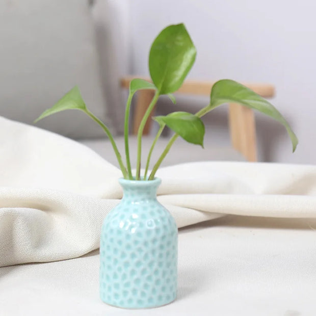 Unique Ceramic Mini Flower Vase Home Garden Decoration Planter Pot Cute Flowerpot Planter Desktop Vase Home Office Bonsai Pot