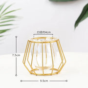 Nordic Simple Golden Glass Vase Hydroponic Plant Flower Vase Iron Geometric Glass Test Tube Metal Plant Holder Modern Home Decor