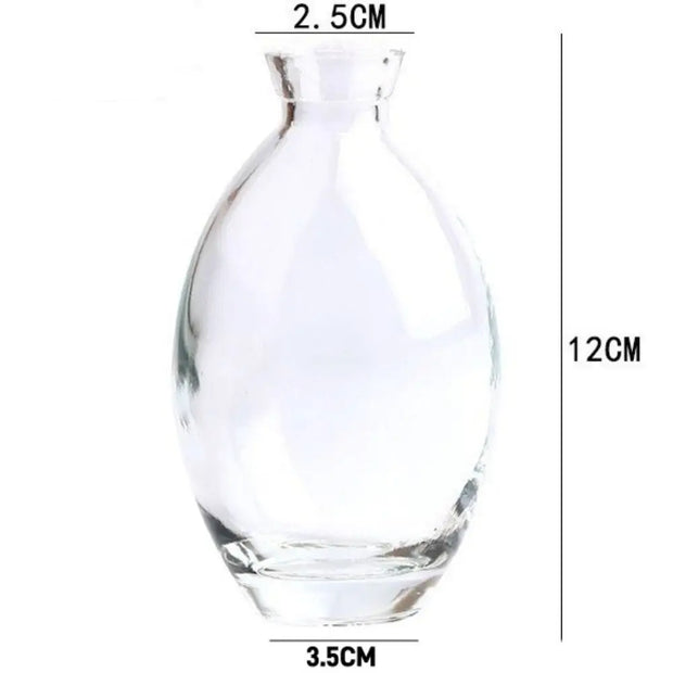 Simple Mini Glass Flower Vase Desktop Transparent Hydroponic Plant Bottle Living Room Flower Arrangement Pot Home Decoration