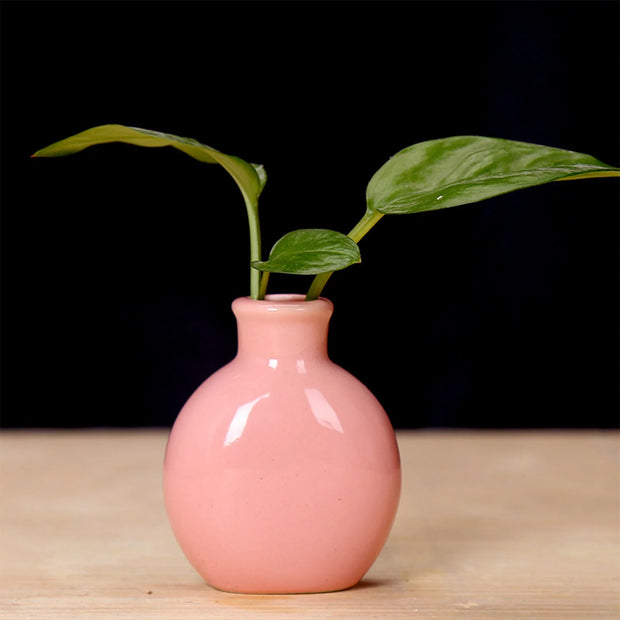 Mini Desktop Vase Cute Spherical Shape Ceramic Flower Pot For Hydrocotyle Vulgaris Lily Of The Valley Spring Gardening Accessory