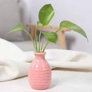 Unique Ceramic Mini Flower Vase Home Garden Decoration Planter Pot Cute Flowerpot Planter Desktop Vase Home Office Bonsai Pot