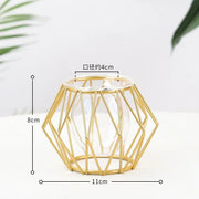 Nordic Simple Golden Glass Vase Hydroponic Plant Flower Vase Iron Geometric Glass Test Tube Metal Plant Holder Modern Home Decor